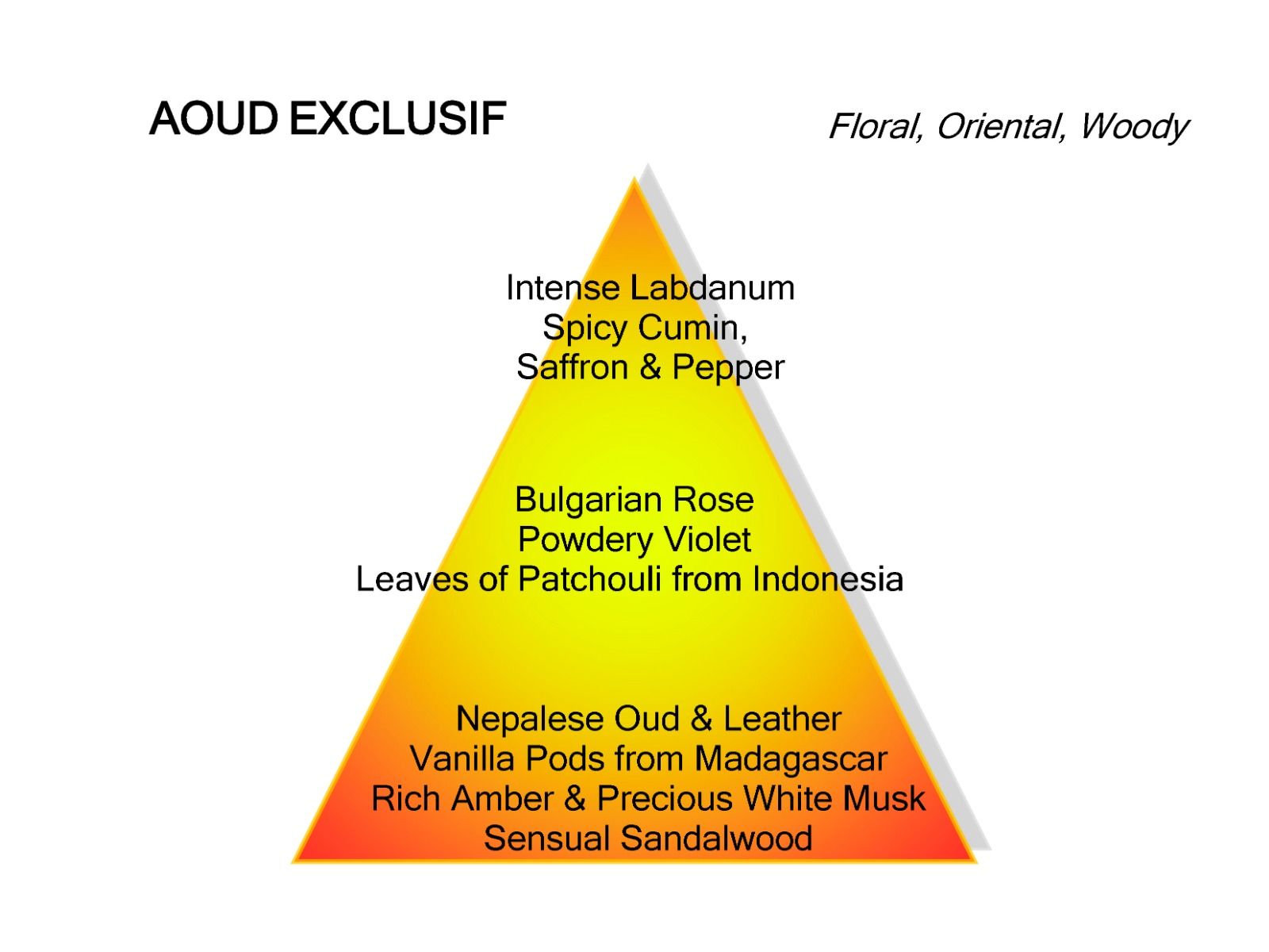 Mancera Aoud Exclusif