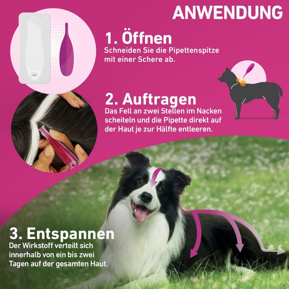 FRONTLINE TRI-ACT® gegen Zecken, Flöhe und fliegende Insekten beim Hund (20-40kg)