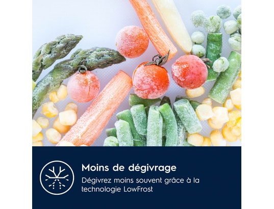 ELECTROLUX - Congélateur encastrable top LUB3AE88S