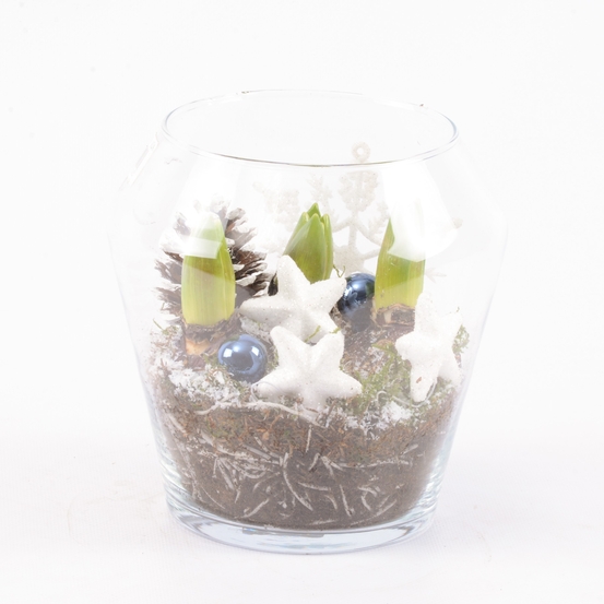 Jacinthe X3 contenant en verre, décoration dans l'esprit de noël D16