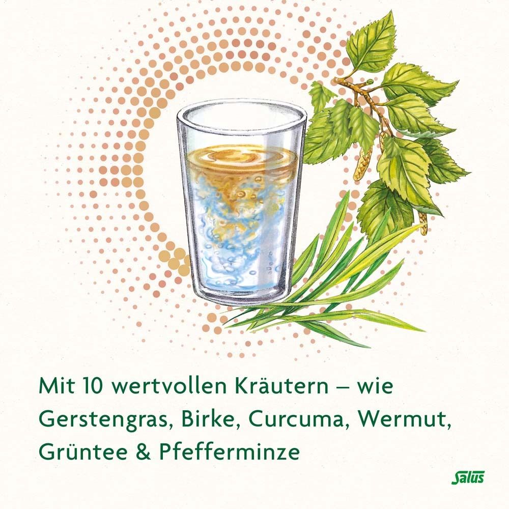 Salus FreeBalance Gerstengras-Birke 10-Kräuter-Elixier