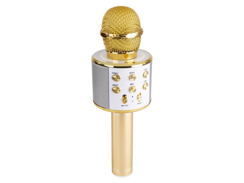 MAX Mikrofon KM01G Gold Karaoke Mikrofon mit eingebautem Lautsprecher