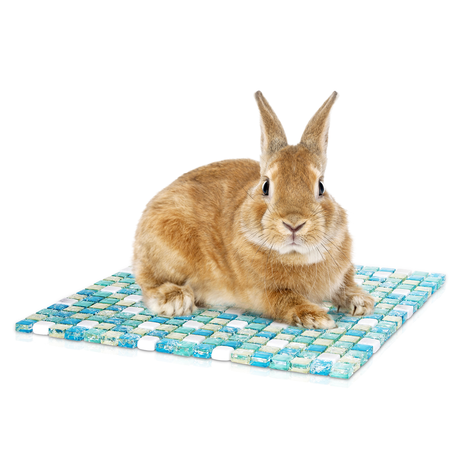 Nobleza - Tapete Refrescante para Hamsters, Almofada Refrescante para Coelhos, Placa Refrescante para Coelhinhos, Cama Refrescante para Pequenos Animais (30*30CM)