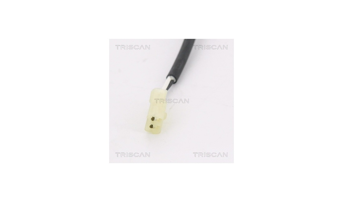 ABS sensor