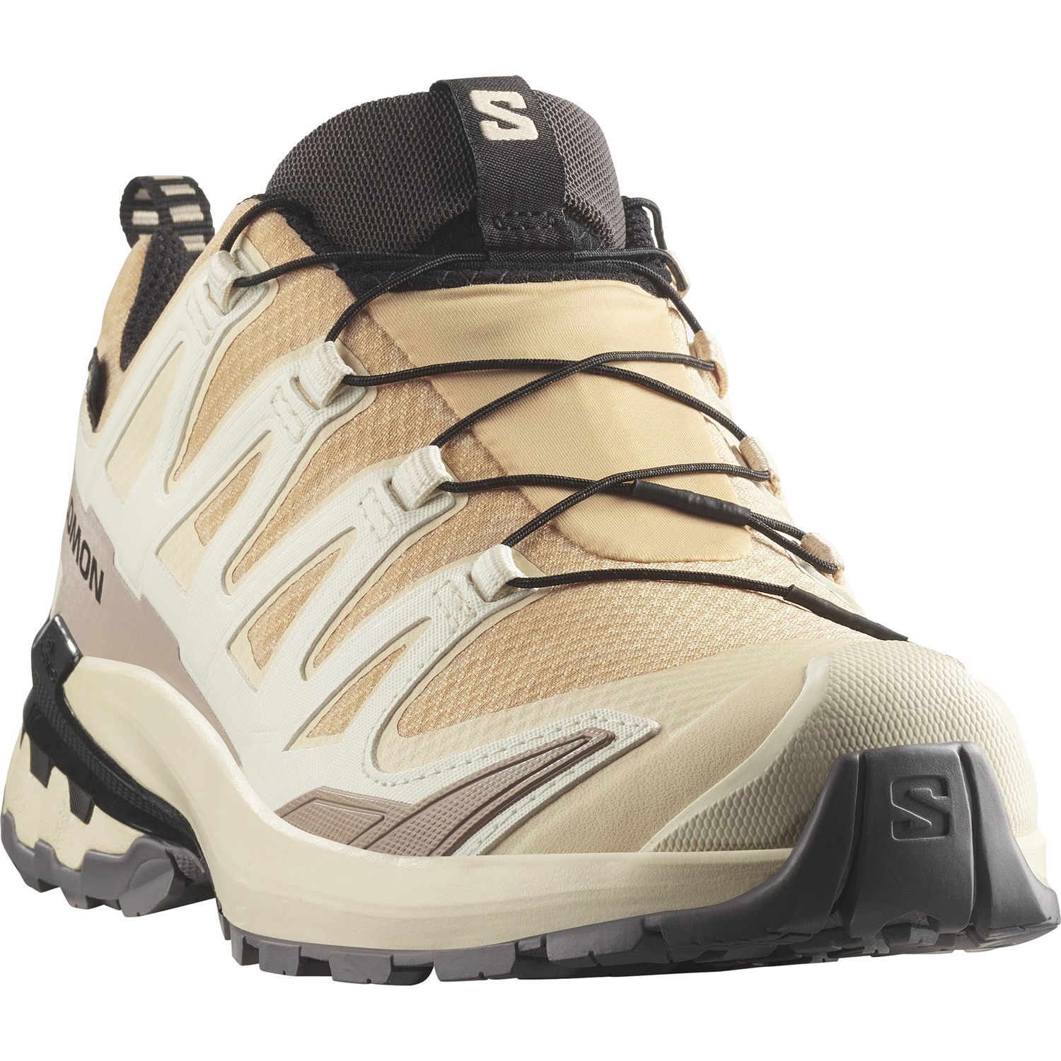 SalomonXA PRO 3D V9 GTX W