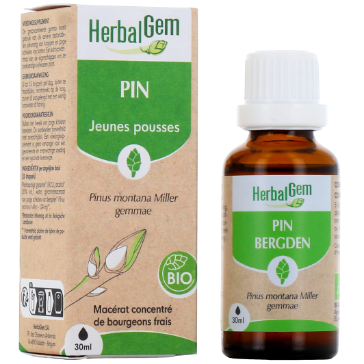 Herbalgem macérat pin bio - Gemmothérapie concentrée