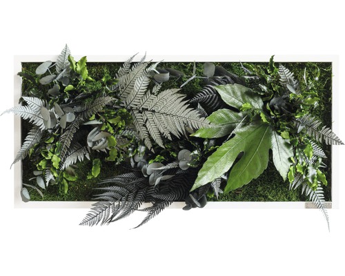 Plantenfoto jungle design lijst wit 57x27 cm