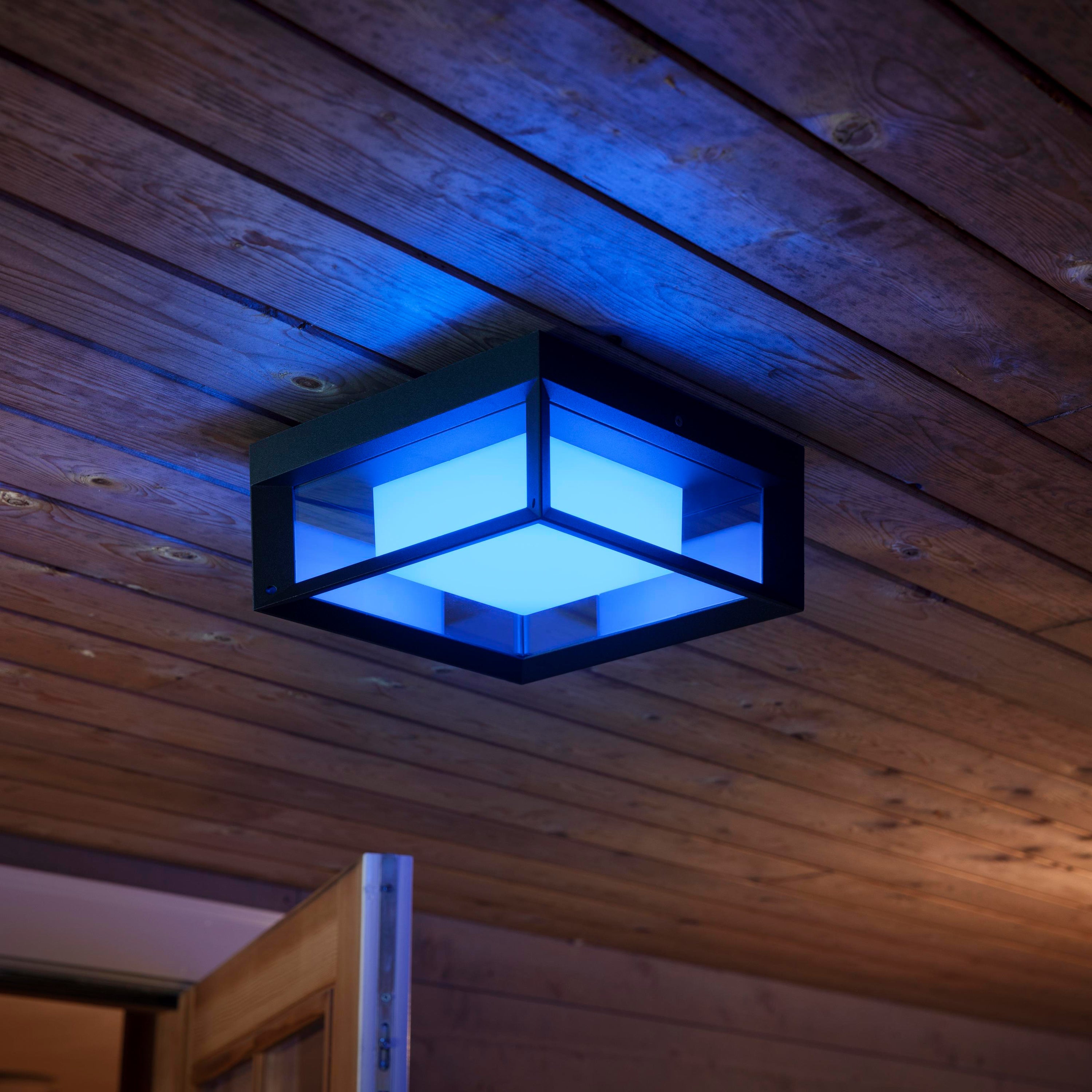 Philips Hue White & Color Ambiance Econic Wandlamp