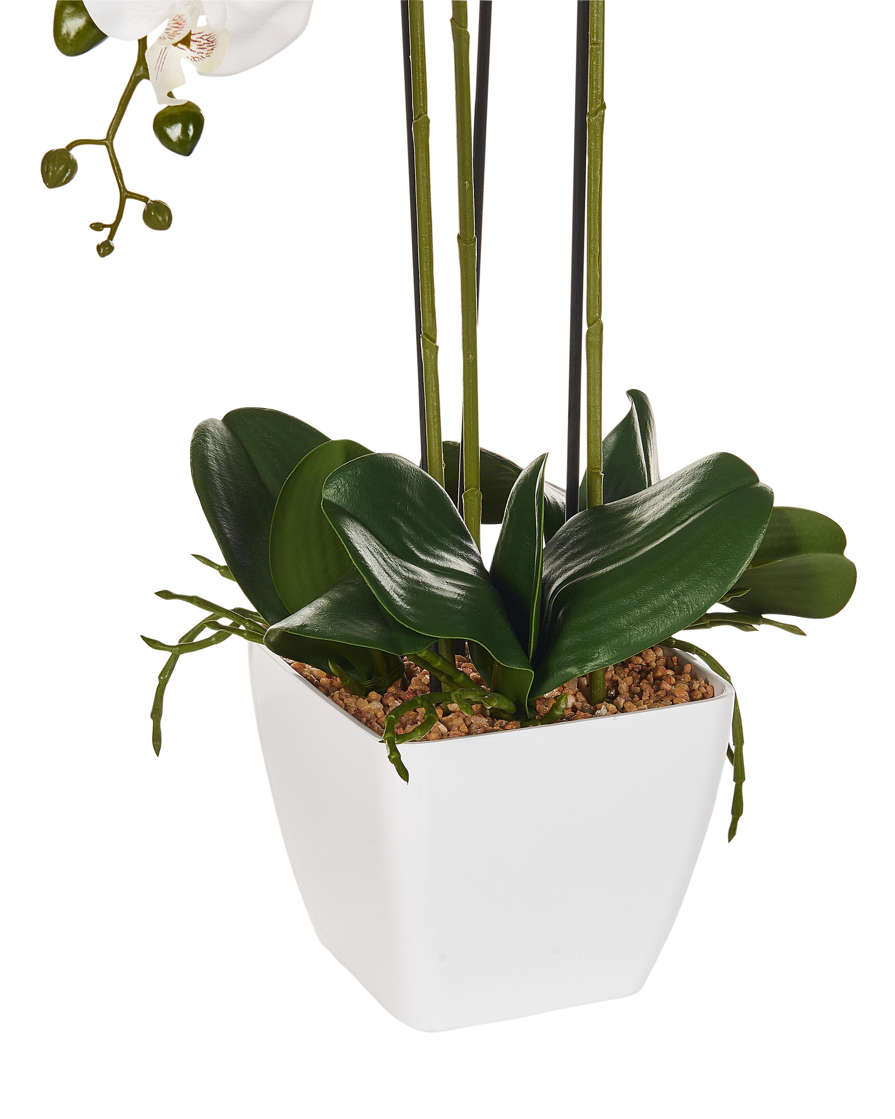 Kunstplant ORCHID 59 cm Wit