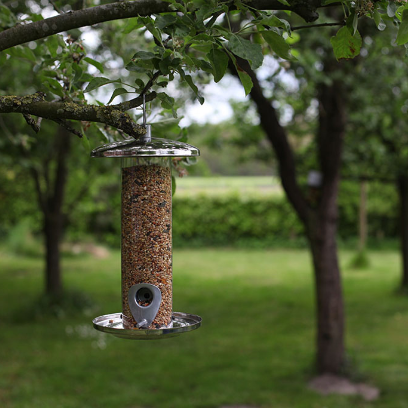 Mangeoire graines oiseaux inox