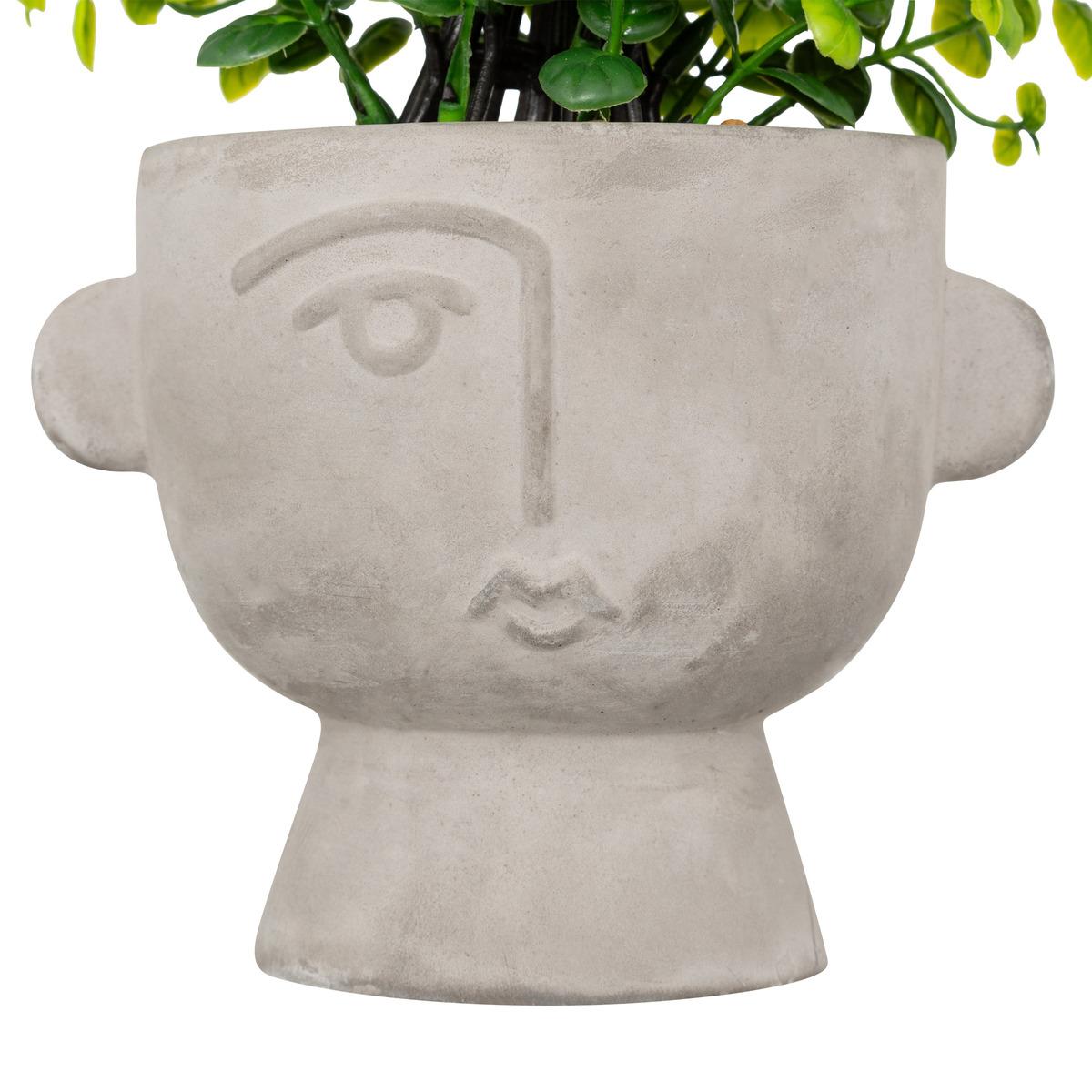 PLANTE GRASSE POT CIMENT DUSTY H.22CM