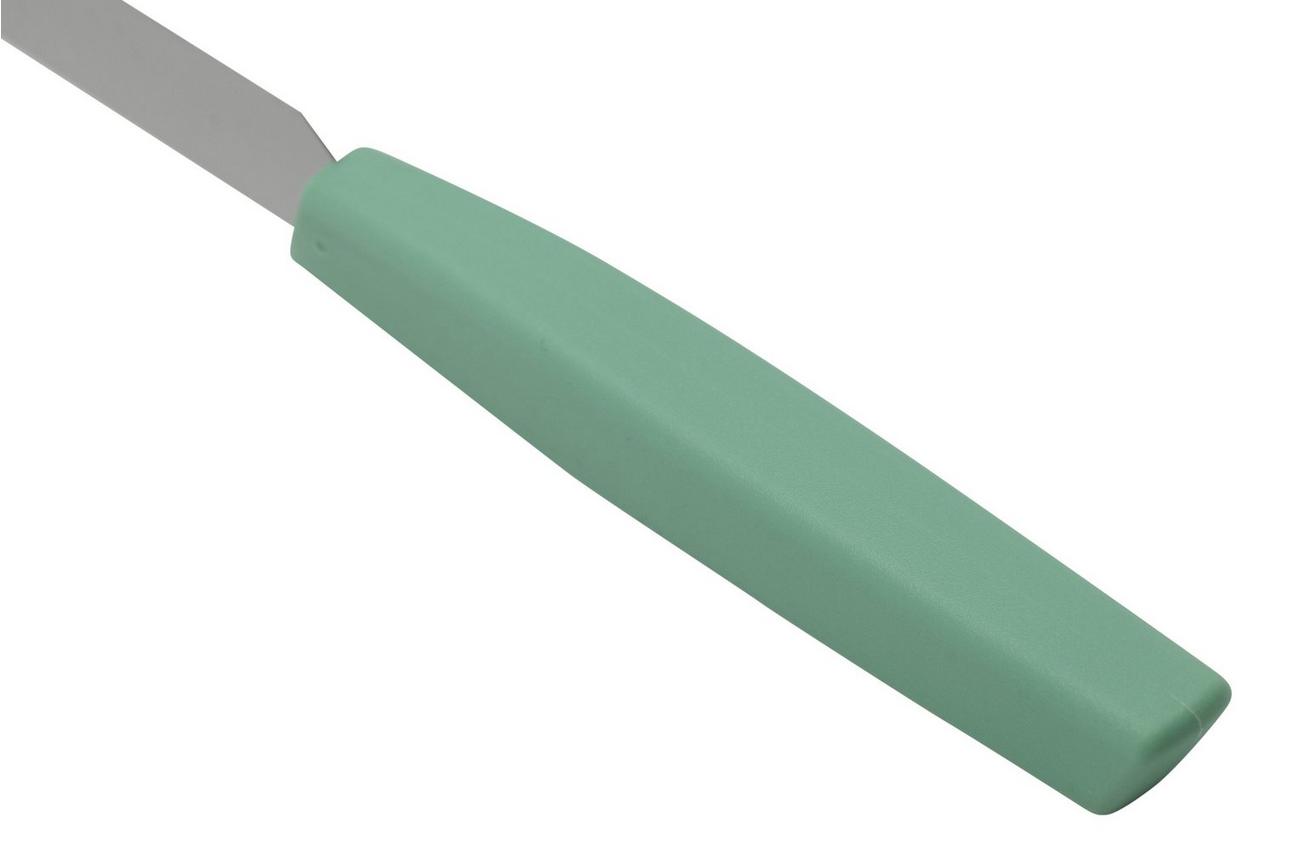 Victorinox Swiss Modern 6.9006.1141 ontbijtmes 11 cm, mintgroen
