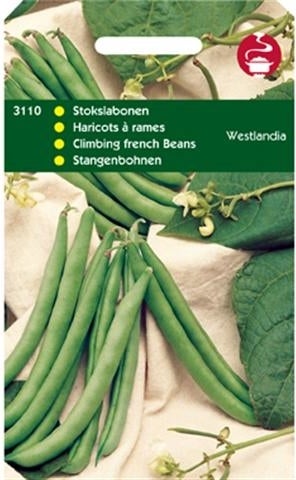 groentezaad Stokslaboon (Phaseolus vulgaris 'Westlandse dubbel')