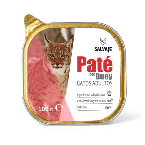 Boi adulto selvagem em patê de gato