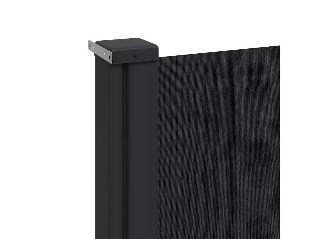 Auvent latéral rétractable noir 100x500 cm