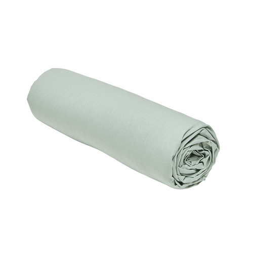 Today - CELADON - Celadon