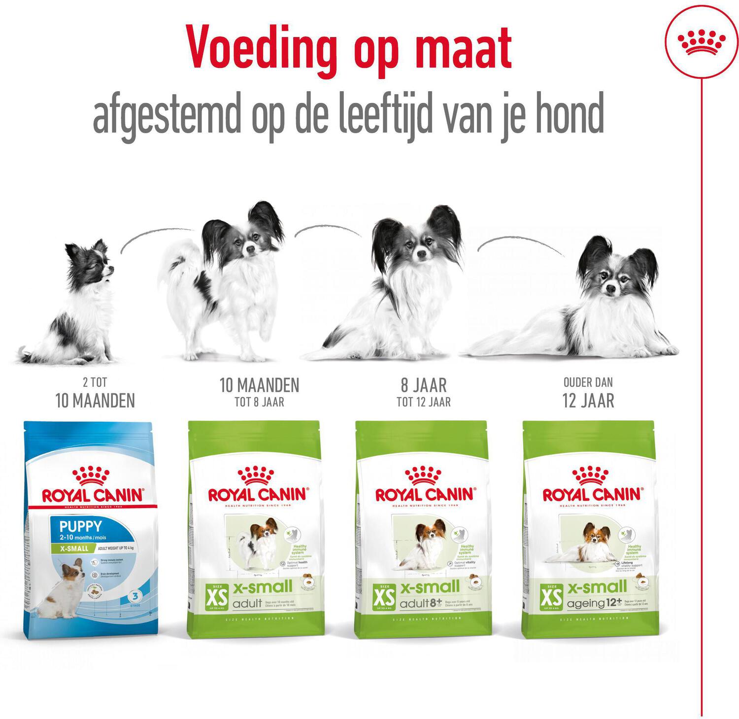 Royal Canin hondenvoer X-Small adult 1,5 kg