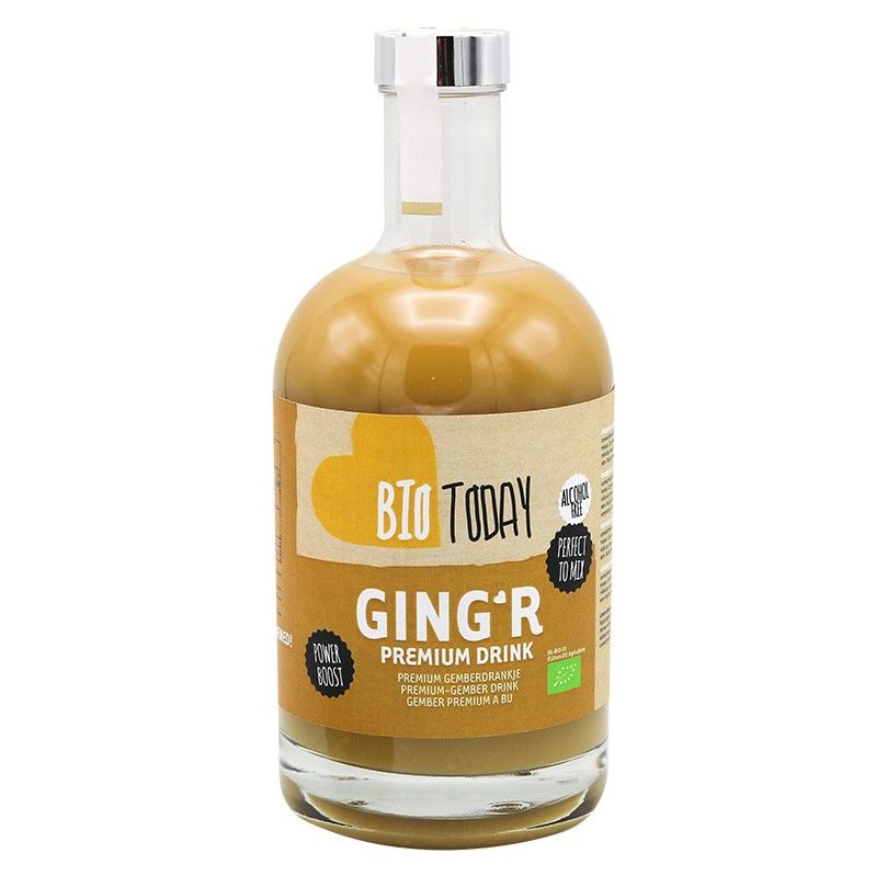 Bio Today Ging'r (bio) 500 ml