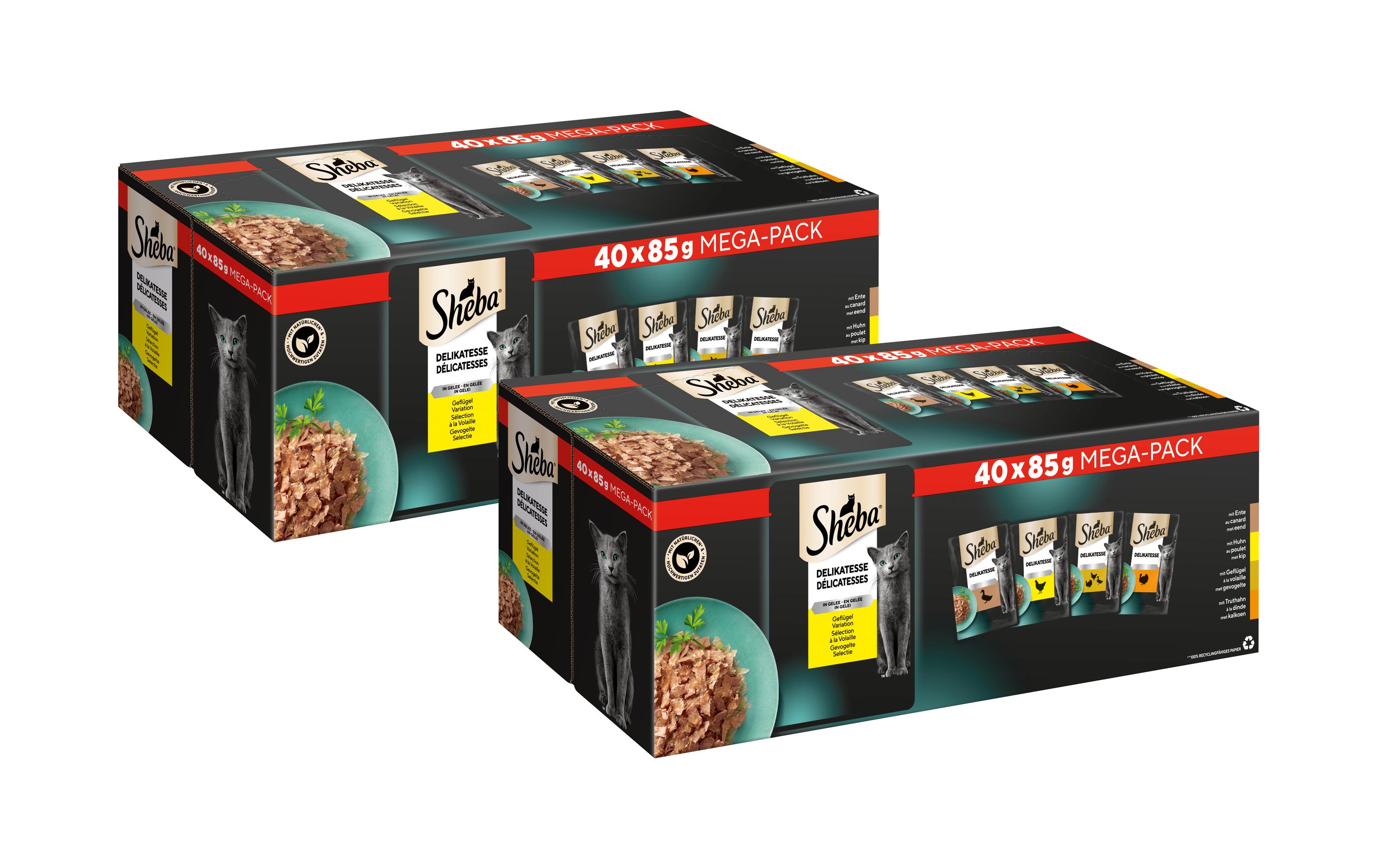 Nassfutter Delikatesse in Gelée 2x 40 x 85 gNassfutter für erwachsene Katzen