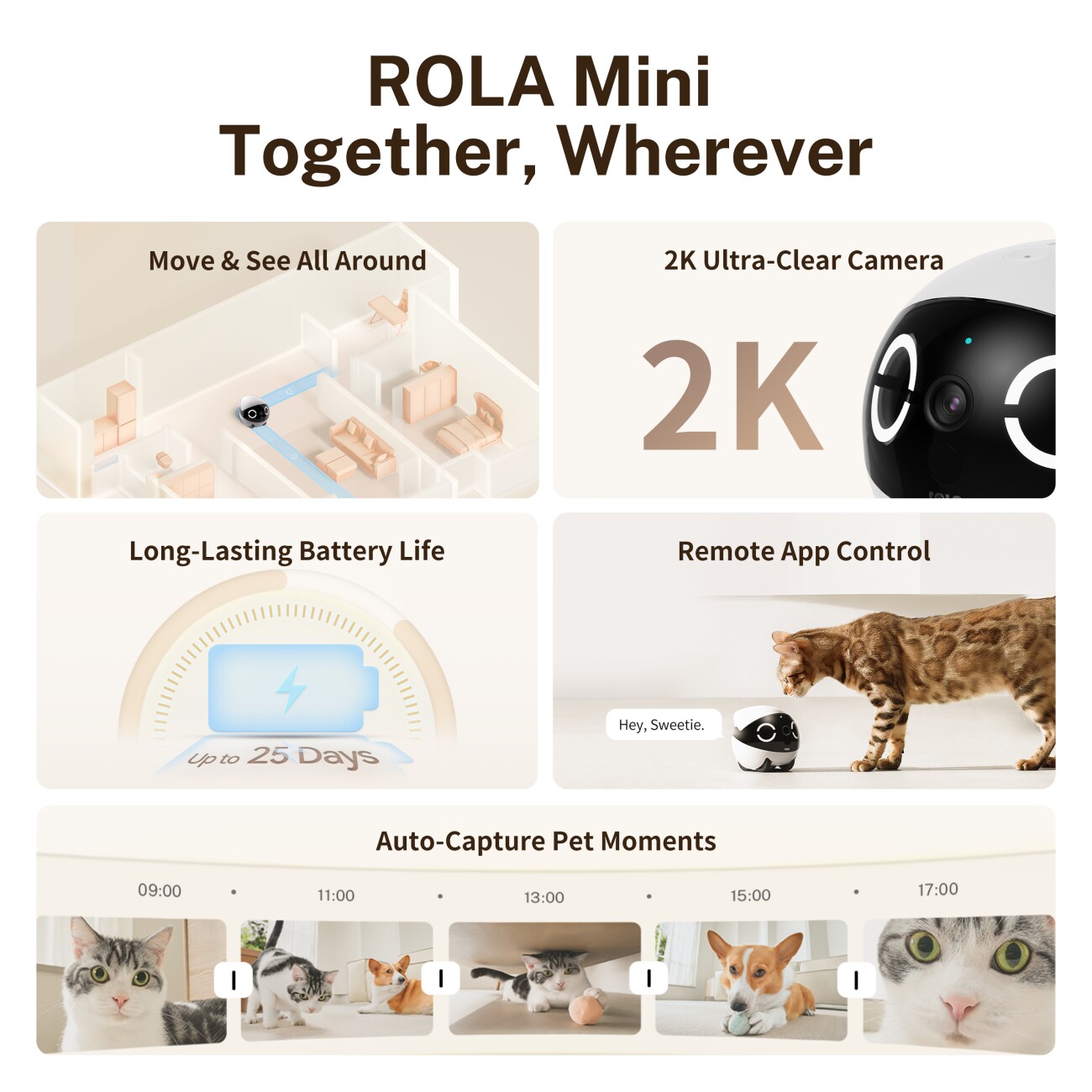 Enabot ROLA Mini: Haustier‑Monitor kabellos mit langlebiger Batterie & mobiler Live‑Überwachung