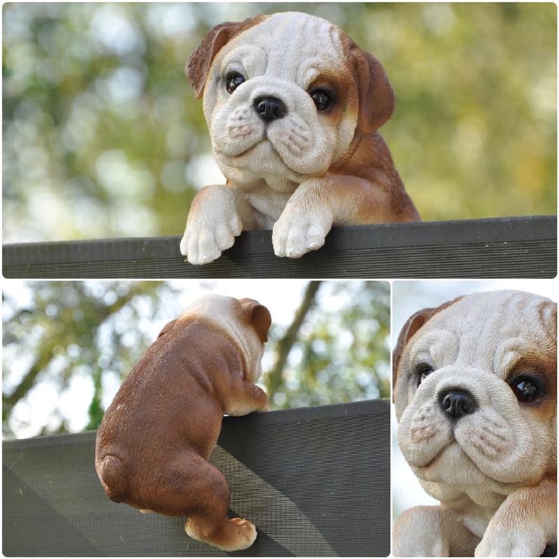 Dazikemo Dekofigur Gartenfigur Bulldogge 19 x 12 x 11 cm