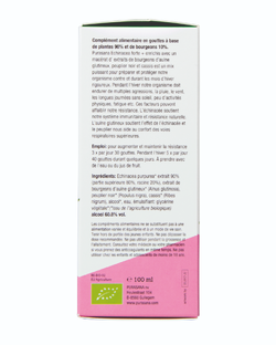 Purasana Echinacea Forte  Druppels 100ML