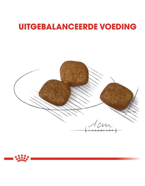 Royal Canin Coat Care Mini - Hondenvoer