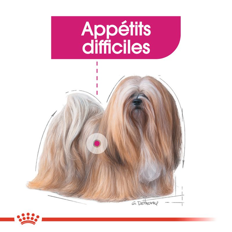 Royal Canin Mini Exigent à prix discount sur bitiba.fr
