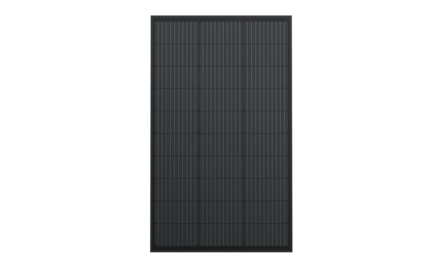 EcoFlow Starres Solarpanel 100 W (2 Stück)