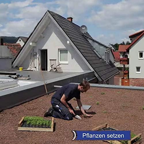 10m² Gründachpaket Dachbegrünung Gründach inkl. 80 Flachballenstauden + 500g Sprossen