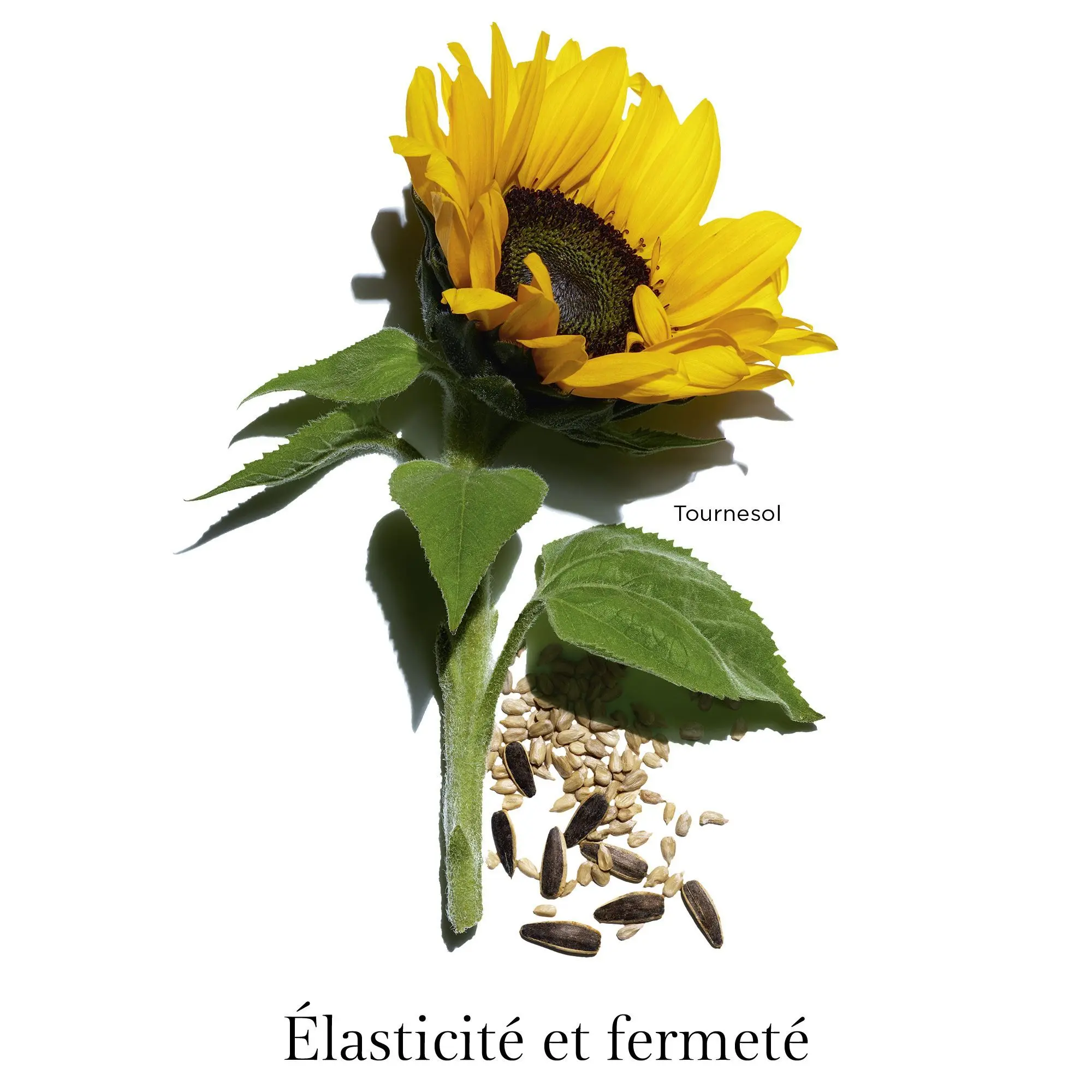 Clarins - Extra-Firming Cou et Décolleté Soin jeunesse lift-regalbant- Soin de jour