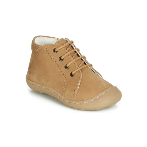 GBB - FREDDO - Cognac