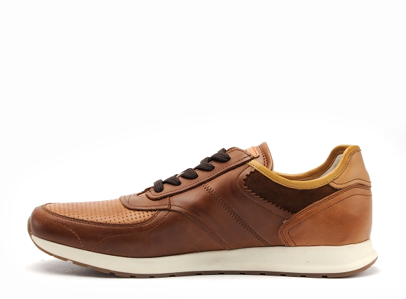 Pikolinos basses homme 6201 marron