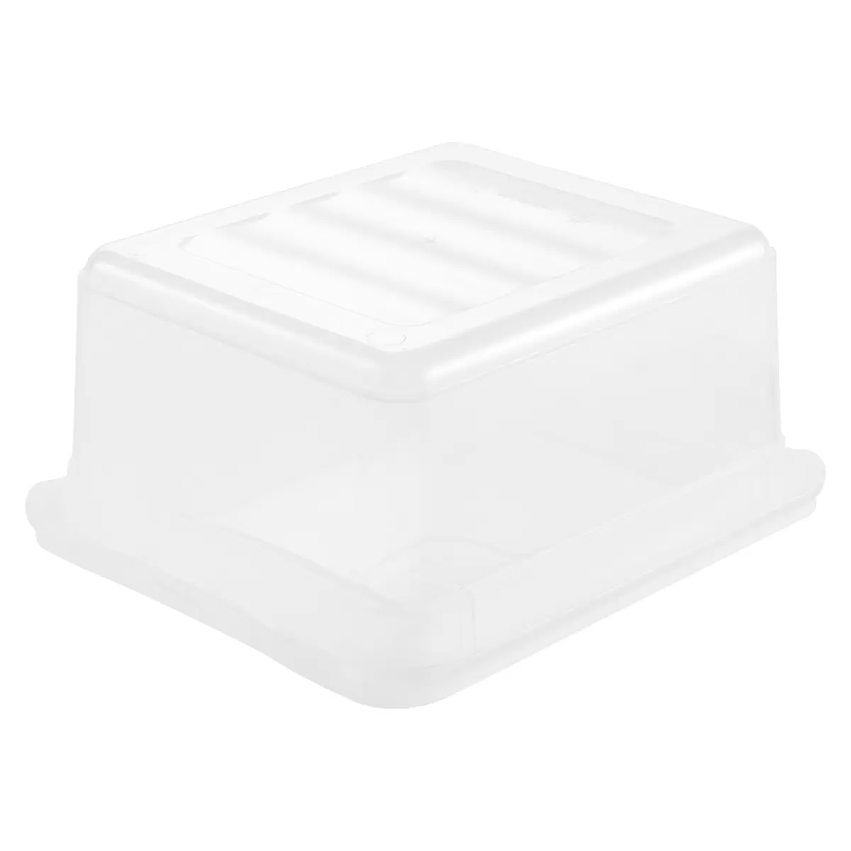 Aufbewahrungsbox 1.7L Bea Homezone Transparent