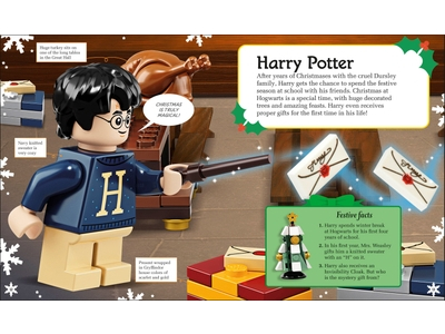 LEGO Hogwarts™ at Christmas (5007214)
