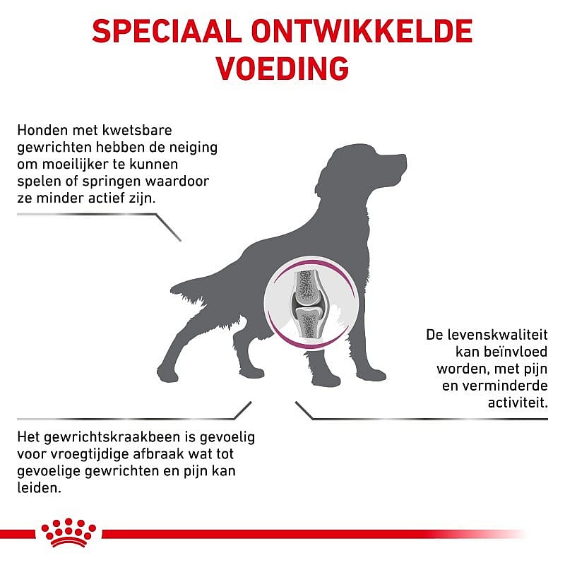 Royal Canin Mobility Support Hond | 12 kg | 11760.2