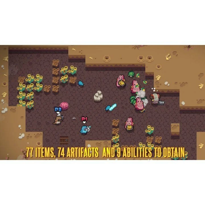 Blazing Beaks- Nintendo Switch