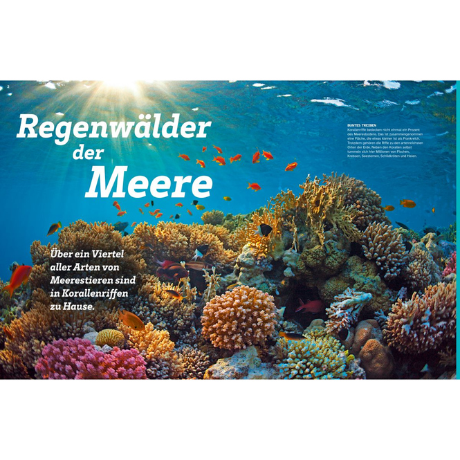 WAS IST WAS - Korallenriff - Mitten im Gewusel