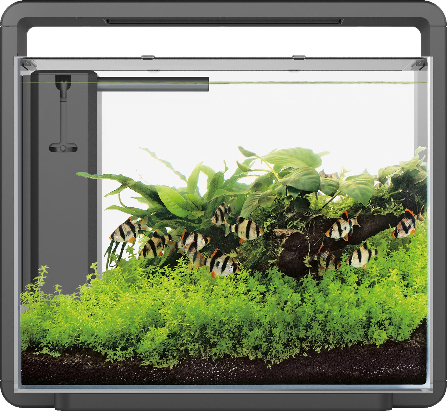 SuperFish aquarium Home 45 zwart 40 L