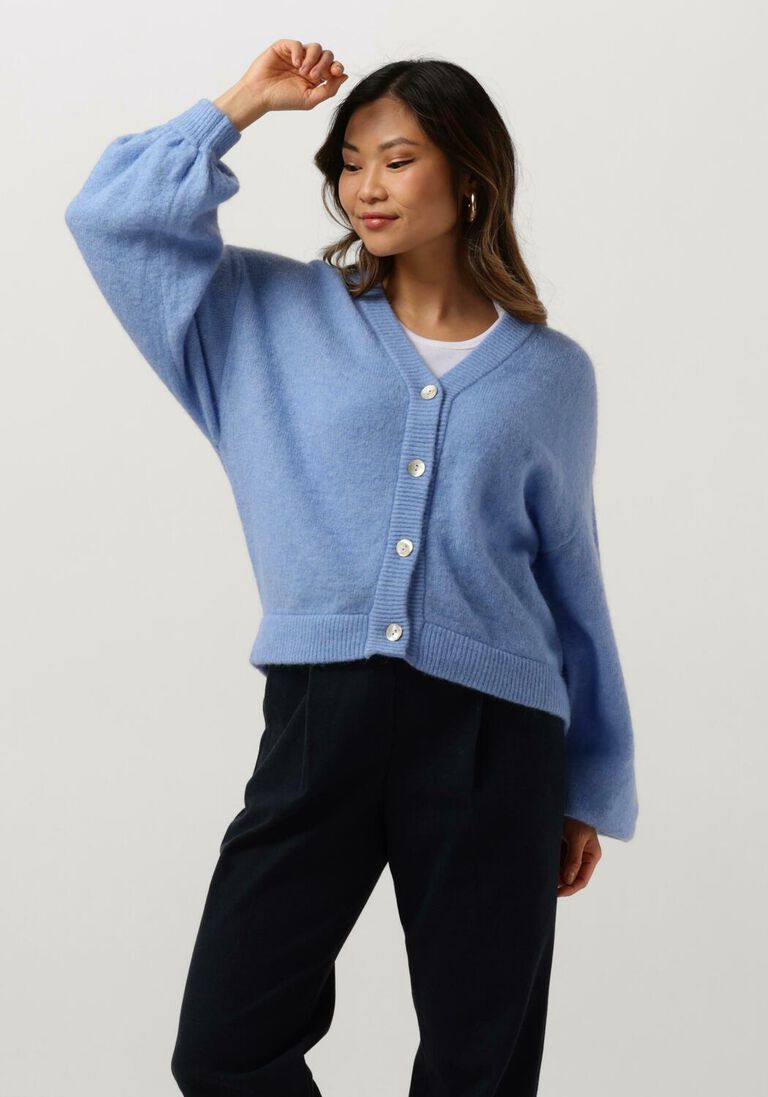 MSCH COPENHAGEN blauwe msch copenhagen trui mschpetrinelle hope cardigan