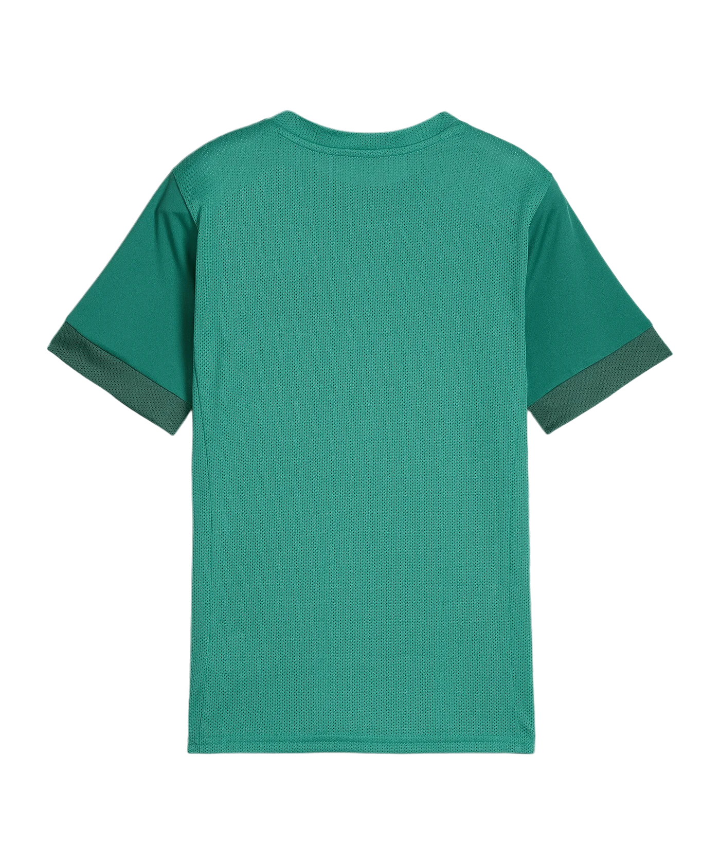 PUMA teamGOAL Matchday Trikot Kids Grün Weiss F05