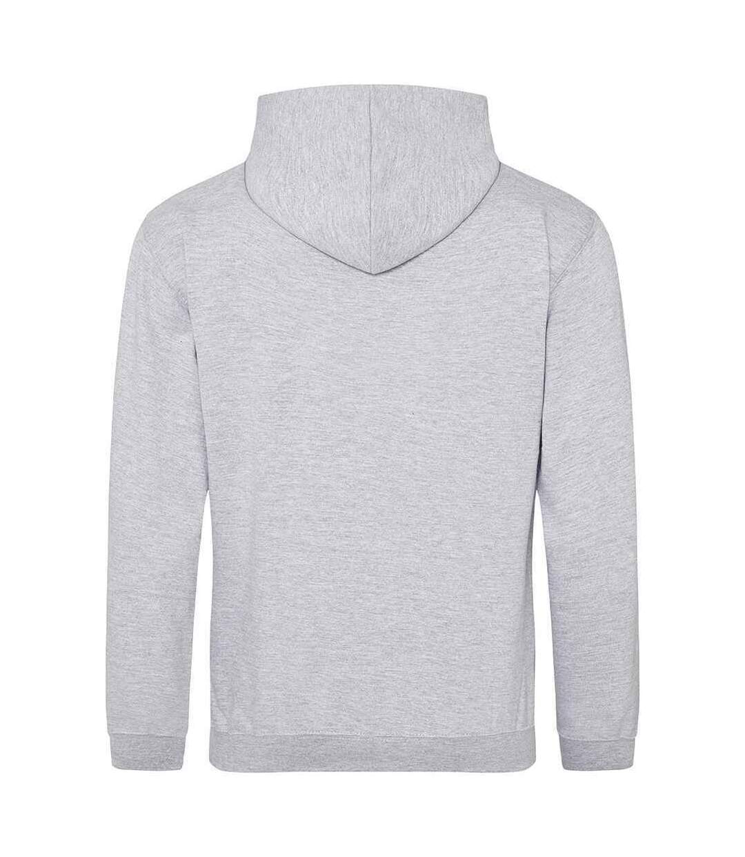 Awdis - Sweat à capuche - Homme (Gris) - UTPC4387