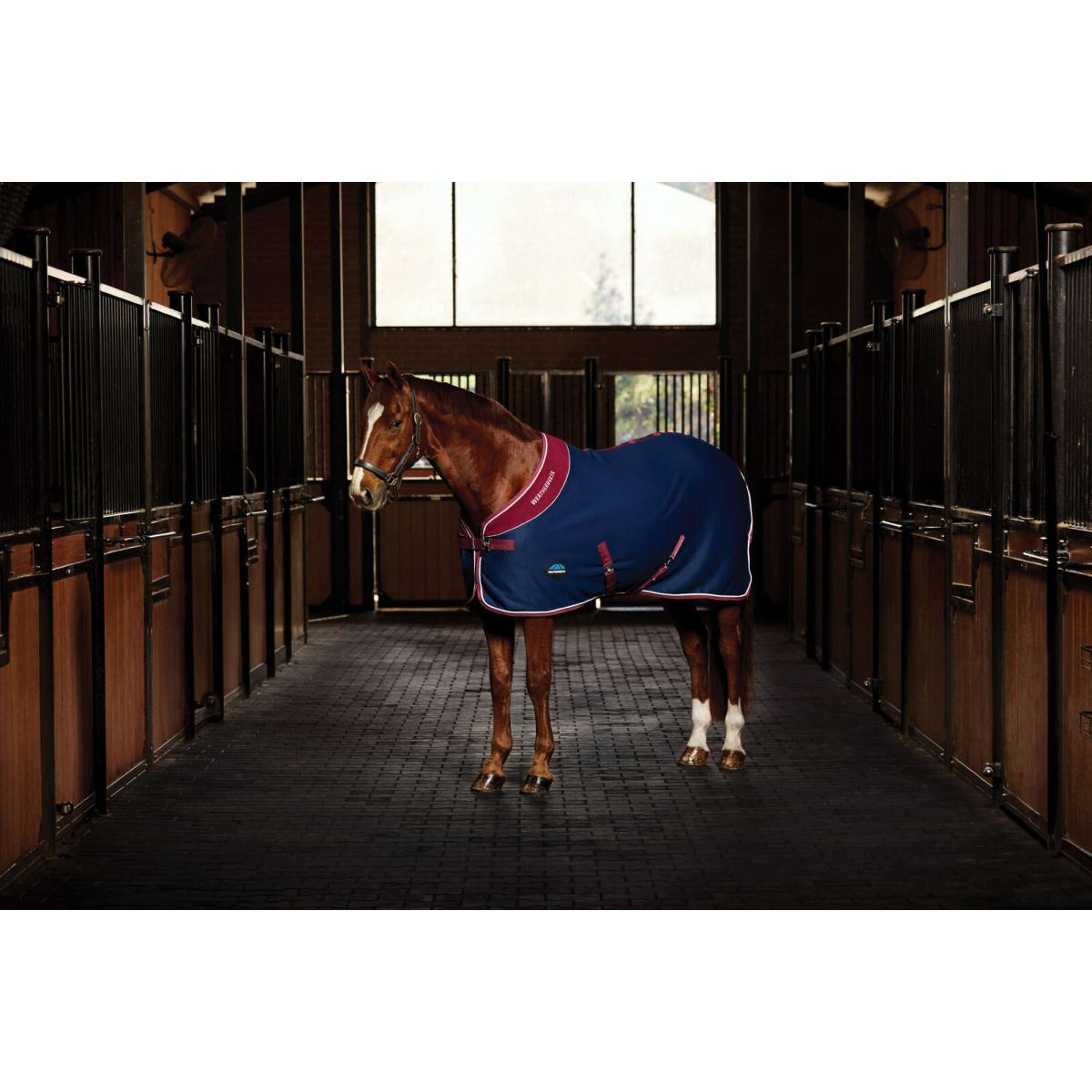WeatherBeeta Showdeken Opulence Standard Neck Navy/Burgundy