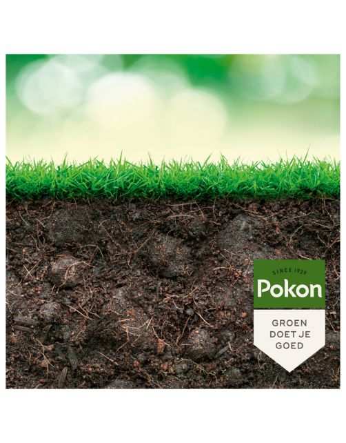 Pokon Bio Kuur Weerbaar En Gezond Gazon - Insectenbestrijding - 500 ml