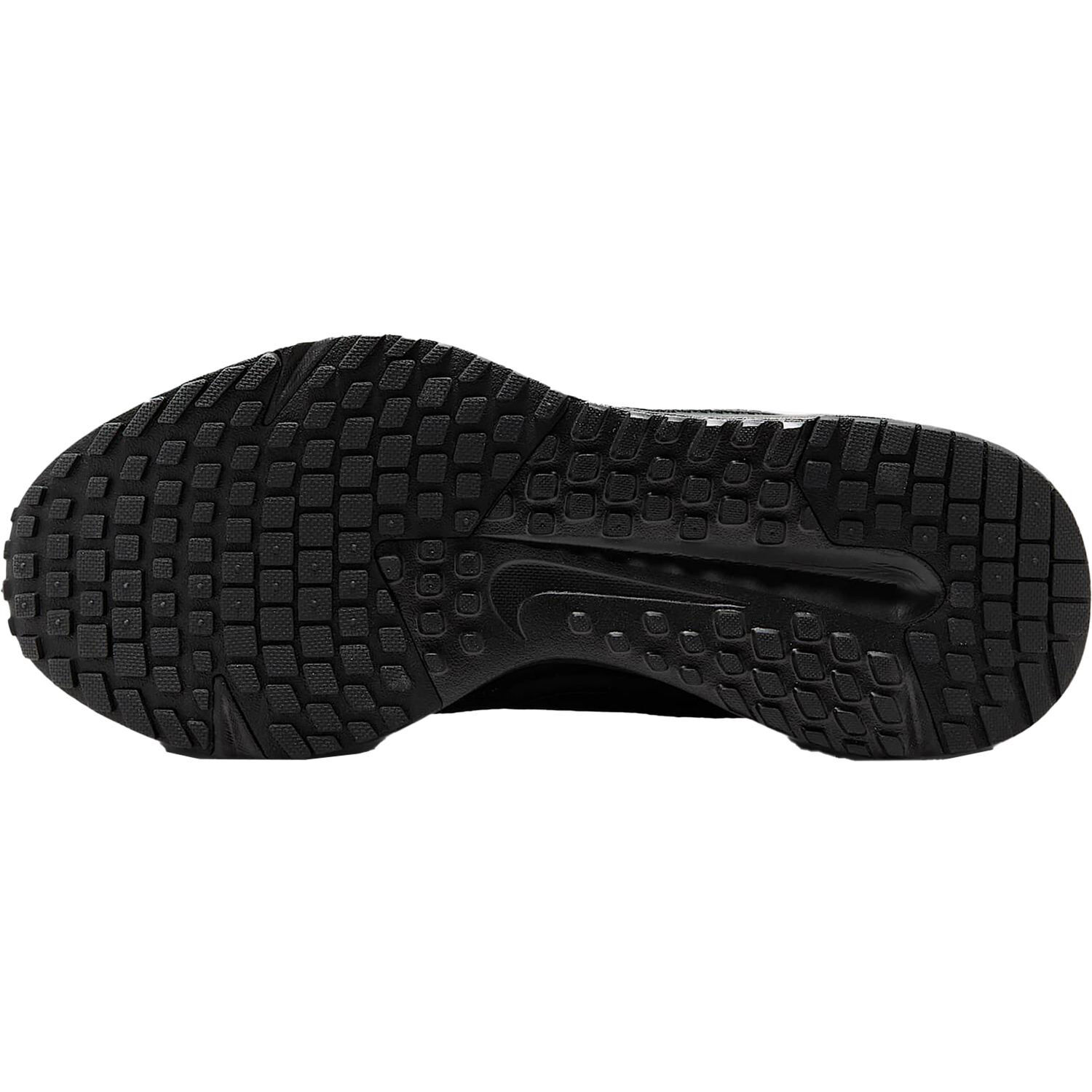 NikeNike Run Defy Women
