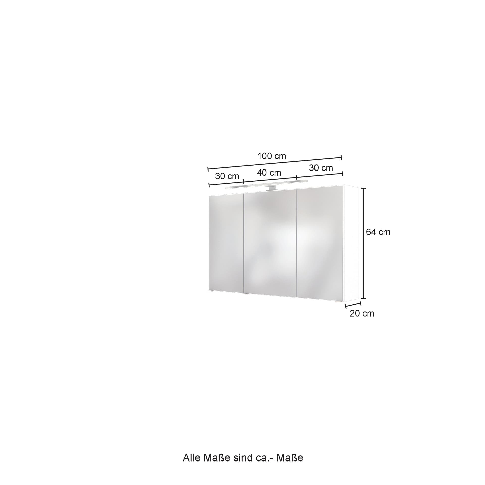 Spiegelschrank Bregenz grau B/H/T 100x64x20 cm