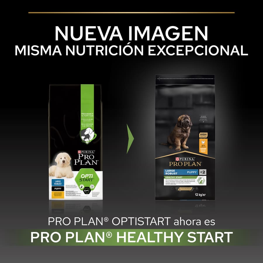 Pro Plan Puppy Large Robust Chicken Puppy Food