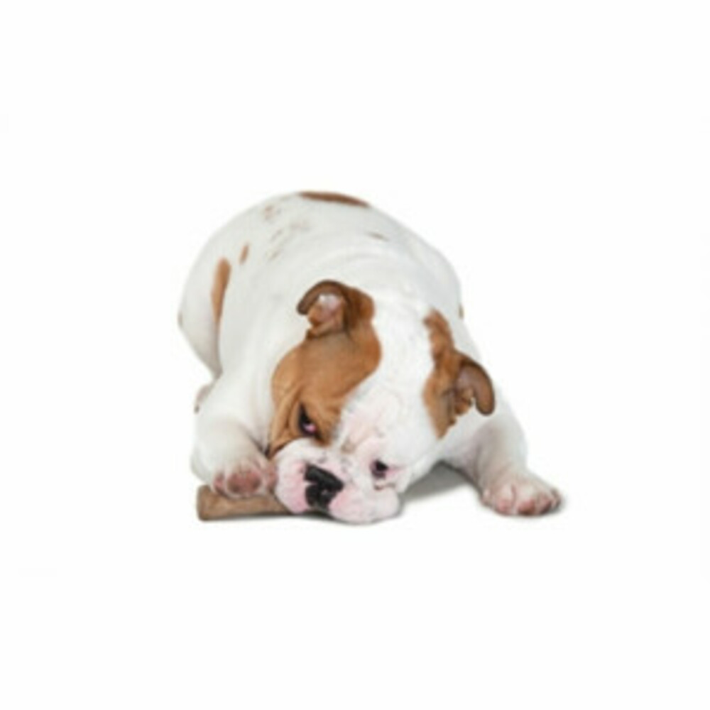Petstages Dogwood Stick Bruin14,0 x 21,6 x 3,8 cm
