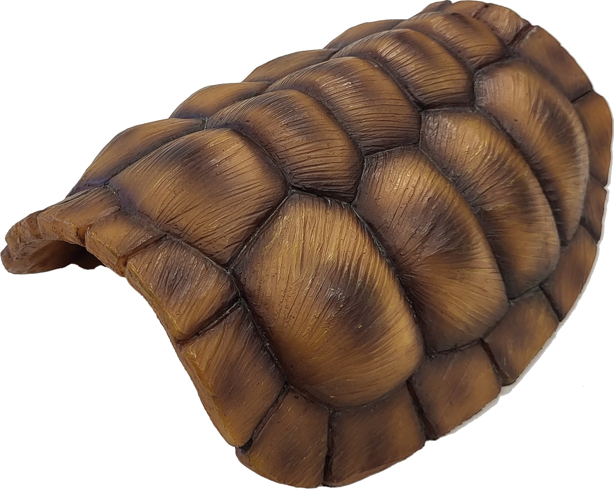 Repto Terrarium Deco Tortoise Schuilplaats M