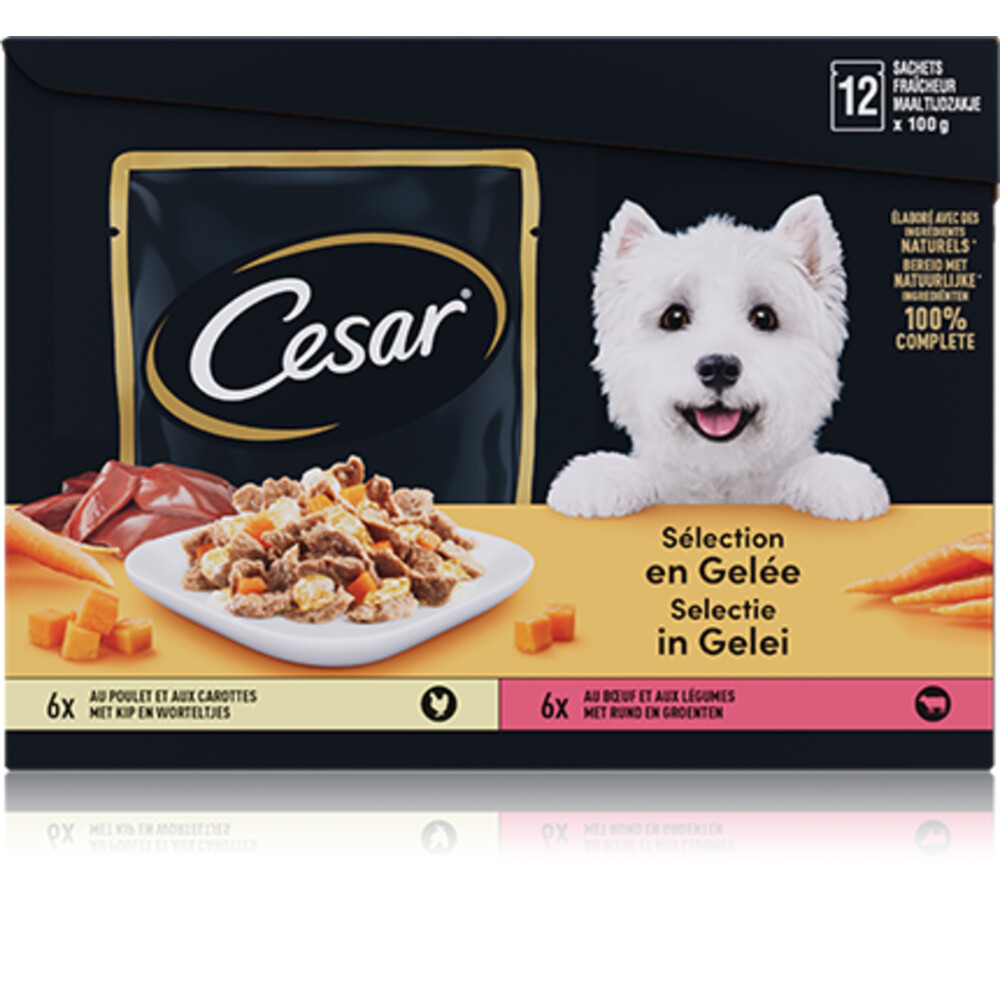Cesar Maaltijdzakjes 12-pack in Gelei12 x 100 gr